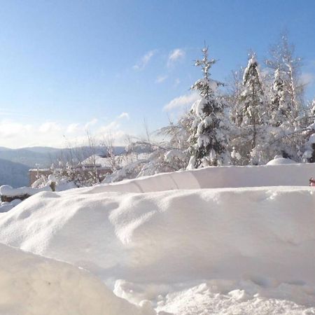 Laptitevosgienne Vue Lac A Gerardmer ! Luaran gambar